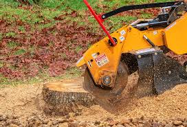 Best Soil Testing and Treatment  in Duryea, PA